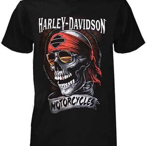 Harley Davidson Skull Distressed Biker Graphic Unisex T-Shirt